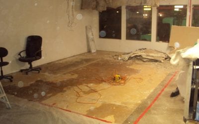 Ever Had Your Ceiling Collapse and Business Flood? I have.