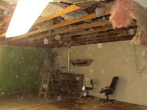 Ever Had Your Ceiling Collapse and Business Flood? I have.