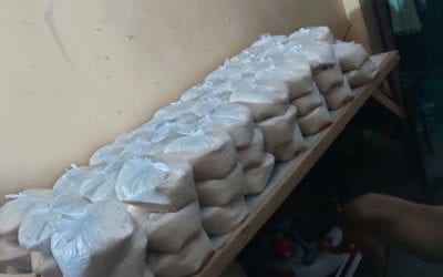 This is what a couple hundred pounds of rice looks like.