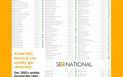130+ Keyword Ranking Increases in One Week
