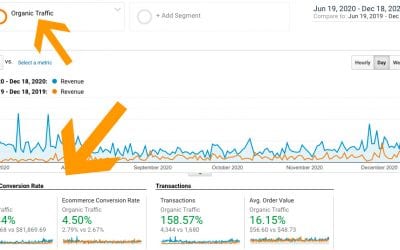 SEO rocks