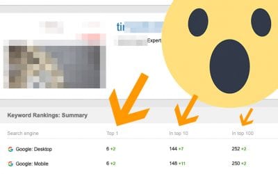 Fast SEO? In the Money After Only 3 Months!