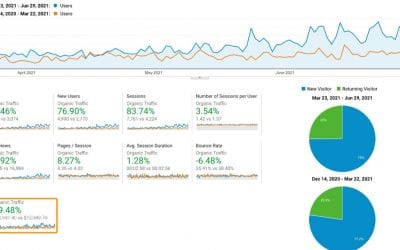 77% Growth In Only 3 Months of SEO