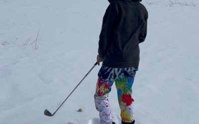 Cabin, Sledding, Fish Food Golf Balls