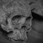 SEO is dead again