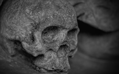 SEO is dead… again