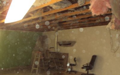 The day the roof of my business collapsed