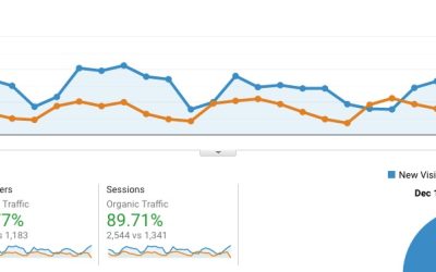 91% Organic Traffic Increase
