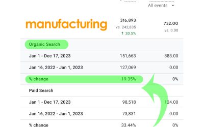 Year Over Year SEO Growth