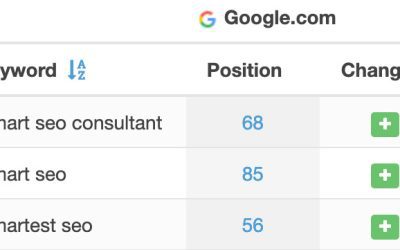 Smartest SEO Consultant