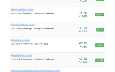 How to Stop Worrying about Google Algorithm Updates