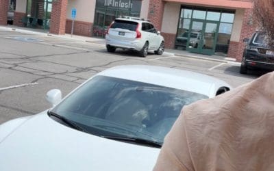 EVERYBODY wants more money