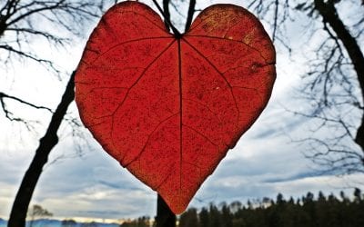 Small Business Ideas for Valentine’s Day