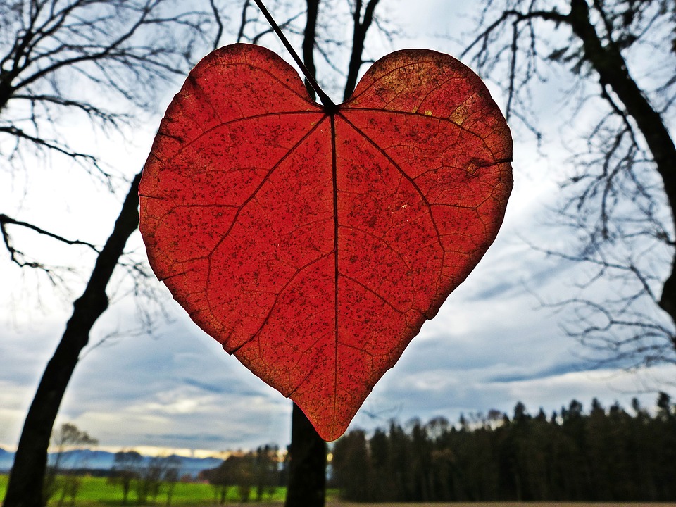 Business Ideas for Valentines Day