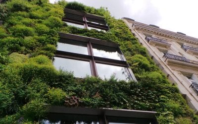 Honor World Environment Day at Work