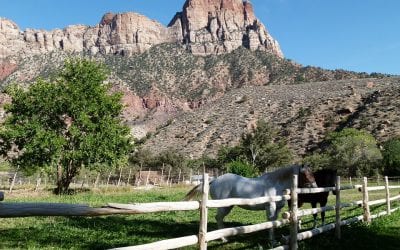 National Parks Month: 3 Iconic National Parks in Utah