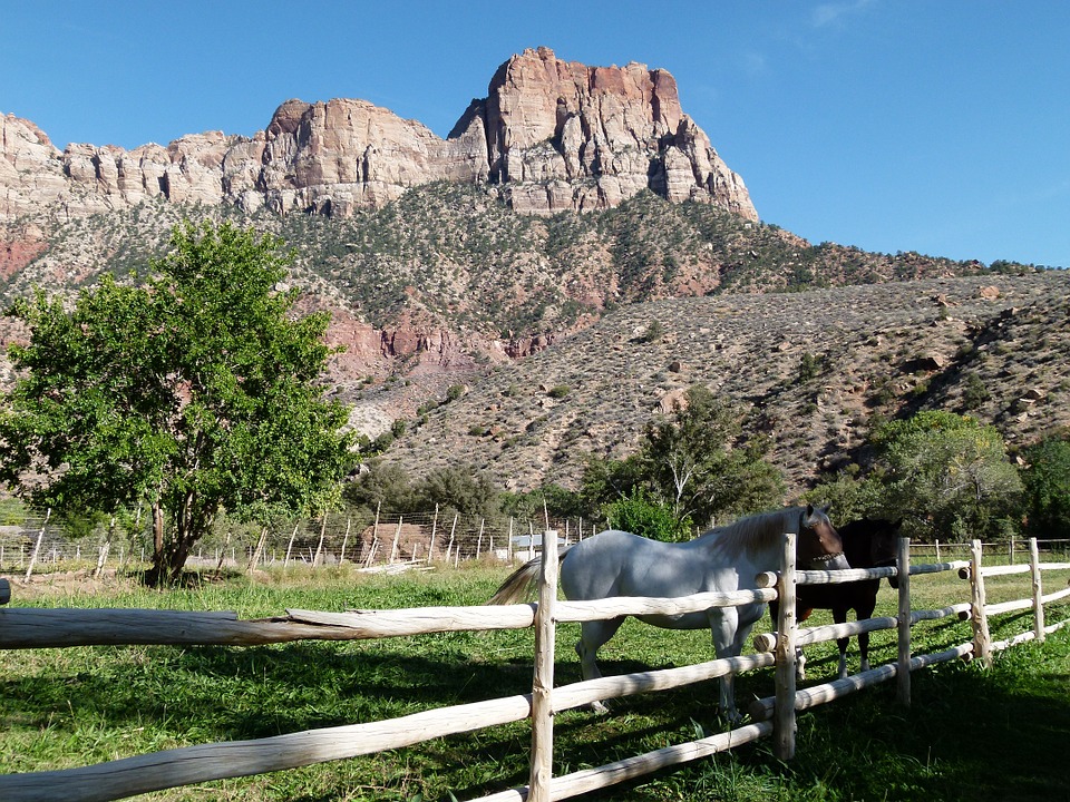 National Parks in Utah