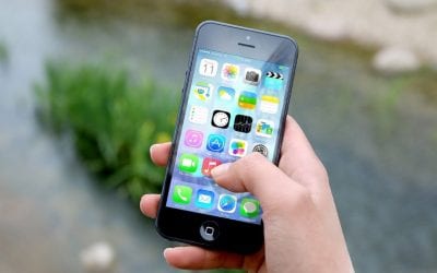 Total Job Security & Love-Hate for Technology